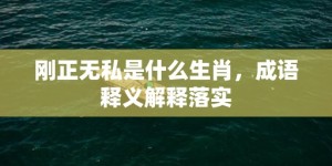 刚正无私是什么生肖，成语释义解释落实