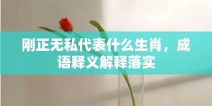 刚正无私代表什么生肖，成语释义解释落实