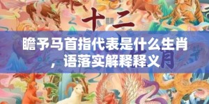 瞻予马首指代表是什么生肖，语落实解释释义