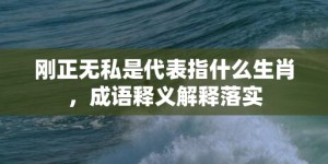 刚正无私是代表指什么生肖，成语释义解释落实