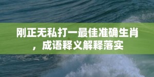 刚正无私打一最佳准确生肖，成语释义解释落实