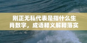 刚正无私代表是指什么生肖数字，成语释义解释落实