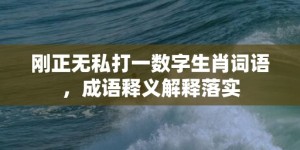 刚正无私打一数字生肖词语，成语释义解释落实