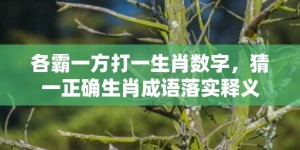 各霸一方打一生肖数字，猜一正确生肖成语落实释义