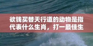 欲钱买替天行道的动物是指代表什么生肖，打一最佳生肖成语释义解释落实