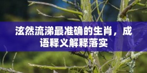 泫然流涕最准确的生肖，成语释义解释落实