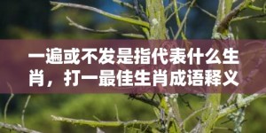 一遍或不发是指代表什么生肖，打一最佳生肖成语释义解释落实