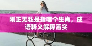 刚正无私是指哪个生肖，成语释义解释落实