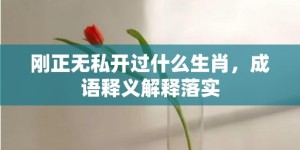 刚正无私开过什么生肖，成语释义解释落实