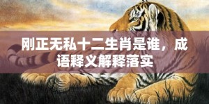 刚正无私十二生肖是谁，成语释义解释落实