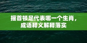 摇首顿足代表哪一个生肖，成语释义解释落实