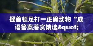 摇首顿足打一正确动物“成语答案落实精选"