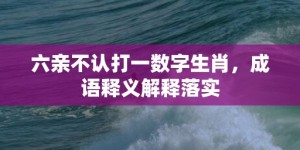 六亲不认打一数字生肖，成语释义解释落实