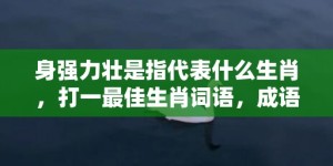 身强力壮是指代表什么生肖，打一最佳生肖词语，成语释义解释落实