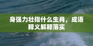 身强力壮指什么生肖，成语释义解释落实