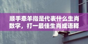 顺手牵羊指是代表什么生肖数字，打一最佳生肖成语释义解释落实