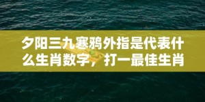 夕阳三九寒鸦外指是代表什么生肖数字，打一最佳生肖成语释义解释落实