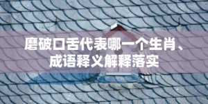 磨破口舌代表哪一个生肖、成语释义解释落实