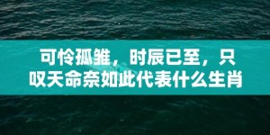 可怜孤雏，时辰已至，只叹天命奈如此代表什么生肖打一最佳数字生肖，成语释义解释落实