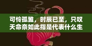 可怜孤雏，时辰已至，只叹天命奈如此指是代表什么生肖，成语释义解释落实