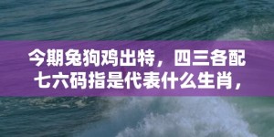 今期兔狗鸡出特，四三各配七六码指是代表什么生肖，成语释义解释落实