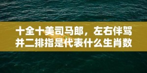 十全十美司马郎，左右伴驾并二排指是代表什么生肖数字，打一最佳生肖成语释义解释落实