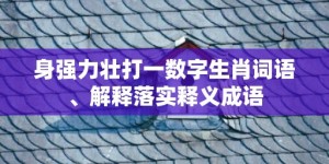 身强力壮打一数字生肖词语、解释落实释义成语