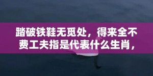 踏破铁鞋无觅处，得来全不费工夫指是代表什么生肖，成语释义解释落实