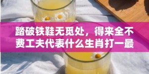 踏破铁鞋无觅处，得来全不费工夫代表什么生肖打一最佳数字生肖，成语释义解释落实