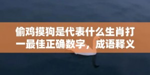 偷鸡摸狗是代表什么生肖打一最佳正确数字，成语释义解释落实