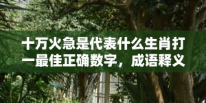 十万火急是代表什么生肖打一最佳正确数字，成语释义解释落实