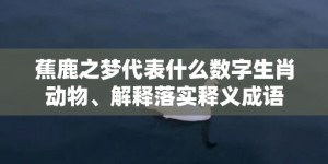 蕉鹿之梦代表什么数字生肖动物、解释落实释义成语