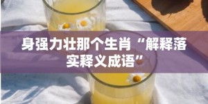 身强力壮那个生肖“解释落实释义成语”