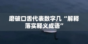 磨破口舌代表数字几“解释落实释义成语”