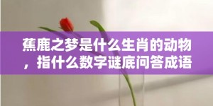 蕉鹿之梦是什么生肖的动物，指什么数字谜底问答成语解释