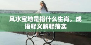 风水宝地是指什么生肖，成语释义解释落实