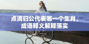 点滴归公代表哪一个生肖，成语释义解释落实