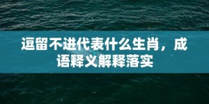 逗留不进代表什么生肖，成语释义解释落实