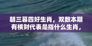 朝三暮四好生肖，双数本期有横财代表是指什么生肖，解释落实释义成语