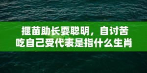 揠苗助长耍聪明，自讨苦吃自己受代表是指什么生肖、“成语精准解释落实”