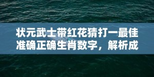 状元武士带红花猜打一最佳准确正确生肖数字，解析成语释义落实