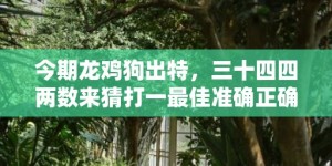 今期龙鸡狗出特，三十四四两数来猜打一最佳准确正确生肖数字，解析成语释义落实