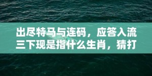 出尽特马与连码，应答入流三下现是指什么生肖，猜打一最佳准确生肖数字经典词意解答