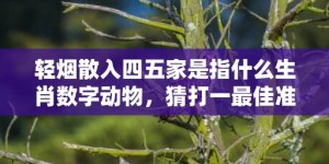 轻烟散入四五家是指什么生肖数字动物，猜打一最佳准确生肖数字经典词意解答