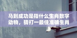 马到成功是指什么生肖数字动物，猜打一最佳准确生肖数字经典词意解答