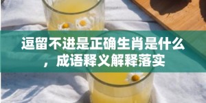 逗留不进是正确生肖是什么，成语释义解释落实