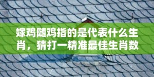 嫁鸡随鸡指的是代表什么生肖，猜打一精准最佳生肖数字分析落实解答