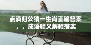 点滴归公猜一生肖正确答案，，成语释义解释落实