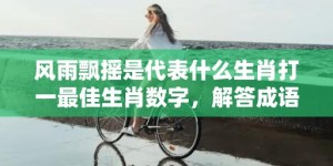 风雨飘摇是代表什么生肖打一最佳生肖数字，解答成语落实释义