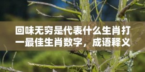 回味无穷是代表什么生肖打一最佳生肖数字，成语释义解释落实